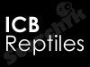 ICB-Reptiles 