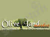 Olive Land Market 