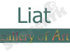 Liat Gallery Of Art 