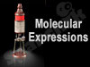 Molecular Expressions 