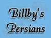Billby's Persians 