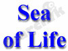Sea Of Life 