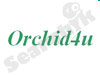 orchid4u 