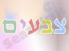 צבעים בישראל 