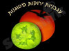 אילן בראף