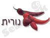 נורית 