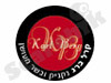קרל ברג 
