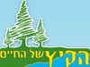 הקיץ של החיים 