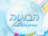 הבועה 