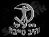 הפועל טייבה 