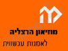 מוזיאון הרצליה לאמנות