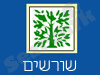 שורשים