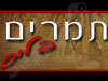 תמרים פלוס