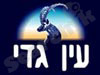 עין גדי מים מינרליים 