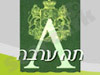 ערבה