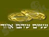שניים שהם אחד
