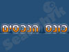 כונס הנכסים