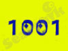 1001 