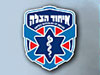 הצלה  