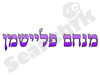 מנחם פליישמן
