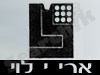 ארי .י. לוי