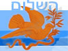 השלום ציוד רפואי ומעבדתי 