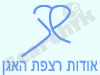 אודות רצפת האגן