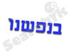בנפשנו