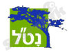 נט
