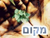 מקום 