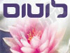 לוטוס