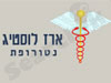 ארז לוסטיג 