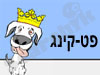 פט קינג