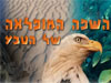 השפה המופלאה של הטבע