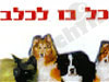 כלבו לכלב 