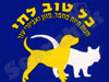 כל טוב לחי