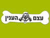 עצם העניין