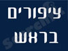 ציפורים בראש 