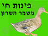 פינת חי בקיבוץ ובכלל