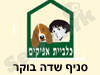 כלביית אפיקים 
