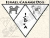 ICDCA