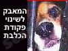 המאבק לשינוי פקודת הכלבת