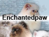 Enchantedpaw