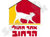 אתר חתולי הרחוב 