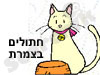 חתולים בצמרת