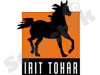 Irit Tohar 