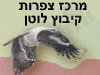 Birding Israel