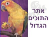 אתר התוכים הגדול 