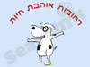 רחובות אוהבת חיות 