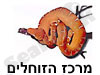 מרכז הזוחלים 